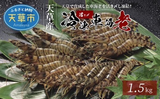 S065-004_YⓀԊCV 1.5kg (500g×3pbN)F{Vs31000ECYGr