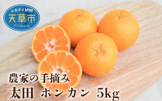 S040-005_農家の手摘み 太田 ポンカン 約5kg 【先行受付】熊本県天草市13000果物・フルーツみかん・柑橘類