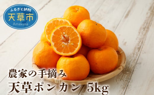 S040-006_農家の手摘み天草ポンカン 約5kg〈先行受付〉熊本県天草市13000果物・フルーツみかん・柑橘類