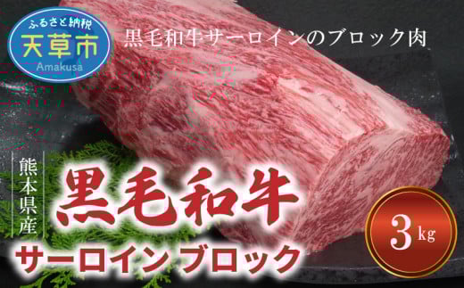 熊本県産 黒毛和牛 サーロイン ブロック 3kg ステーキ ブロック肉_S001-013熊本県天草市100000肉牛肉