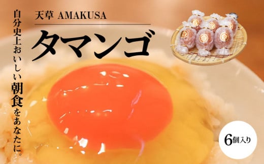 S038-001_天草 タマンゴ 6個 卵熊本県天草市13000卵・乳製品卵(鶏、烏骨鶏等)