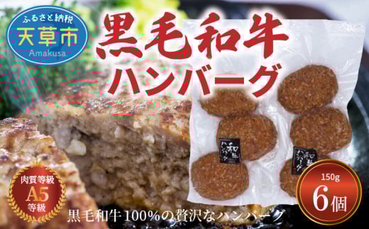 S001-019_黒毛和牛100% ハンバーグ 6個セット熊本県天草市14000肉加工肉(ハム・ソーセージ等)