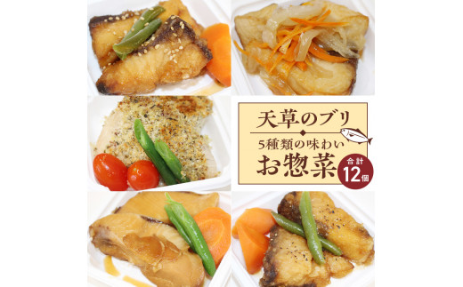 S010-064_ブリの惣菜5種類12食セット熊本県天草市22000鍋セット・総菜・加工食品総菜