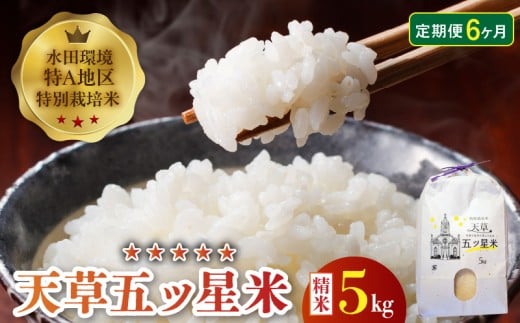 S061-T06_【6ヶ月定期便】特別栽培米 天草五ッ星米 精米 5kg熊本県天草市61000米・パン白米