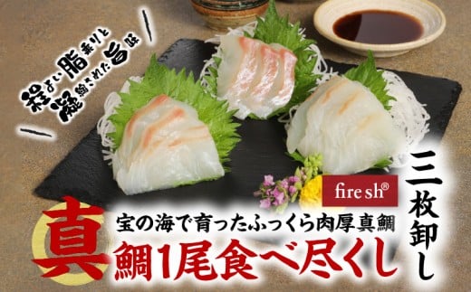 S106-009_真鯛1尾食べ尽くし【三枚卸し】熊本県天草市13000魚介・海産物鮮魚