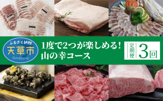 S999-T07_【定期便3回】1度で2つが楽しめる!山の幸コース熊本県天草市70000肉牛肉