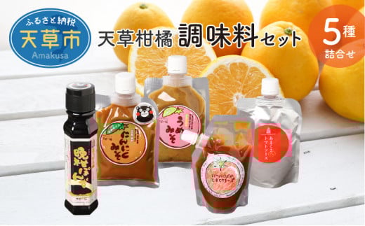 S024-005_天草柑橘 調味料セット熊本県天草市13000調味料・油