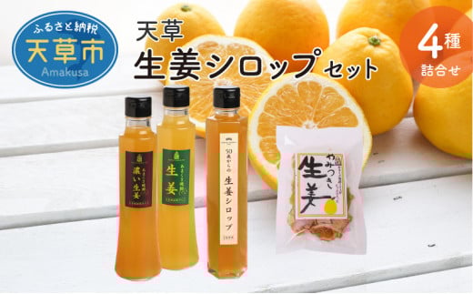 S024-008_天草 生姜シロップセット熊本県天草市23000お茶・飲料果汁・野菜飲料