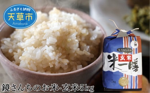 S050-008_【令和7年産】新米コシヒカリ 玄米 5kg熊本県天草市17000米・パン玄米・雑穀米・もち米・餅
