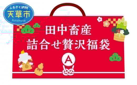 S001-F01_【福袋】田中畜産 詰合せ贅沢福袋 A熊本県天草市160000肉牛肉