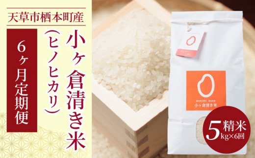 S135-T04_【6ヶ月定期便】天草市栖本町産 小ヶ倉清き米(ヒノヒカリ) 精米 5kg熊本県天草市70000米・パン白米