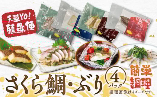 S042-004_天草YO!殖魚便 ぶり さくら鯛 4種 各1パック熊本県天草市17000魚介・海産物鮮魚