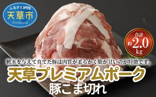 S058-021_天草プレミアムポーク 豚こま切れ 約2.0kg(約500g×4パック)熊本県天草市15000肉豚肉
