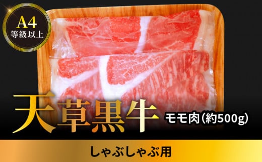 S074-014_天草黒牛 しゃぶしゃぶ用 もも肉 約500g A4等級以上〜熊本県天草市22000肉牛肉