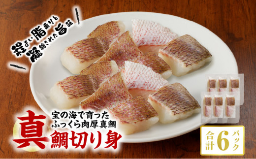 S106-021_真鯛切り身 6パック【firesh?】熊本県天草市13000魚介・海産物鮮魚