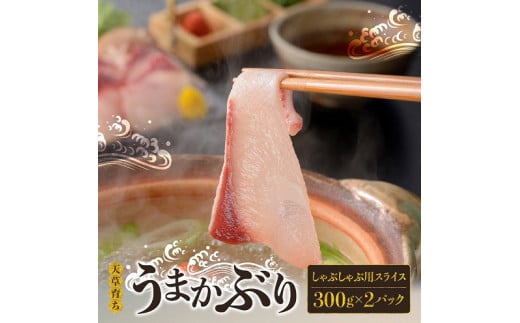 S137-007_【天草育ち/産地直送】活じめ!うまかぶりしゃぶしゃぶ用スライス 300g×2P熊本県天草市19000魚介・海産物鮮魚