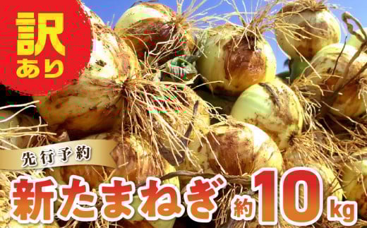 S010-077_ߘa8N4o 󂠂V܂˂ystzF{Vs13000؁Êʂ˂E˂