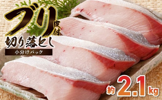 S010-079_ブリ切り落とし(皮付)約2.1kg熊本県天草市22000魚介・海産物鮮魚