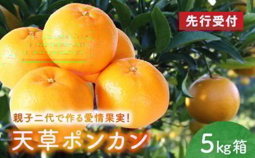 S142-001_天草ポンカン 約5kg箱【先行受付】熊本県天草市13000果物・フルーツみかん・柑橘類