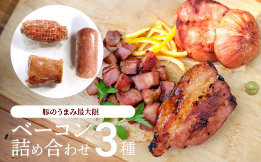 S141-007_豚のうまみ最大限のベーコン3種詰め合わせ【E29】熊本県天草市47000肉その他 肉