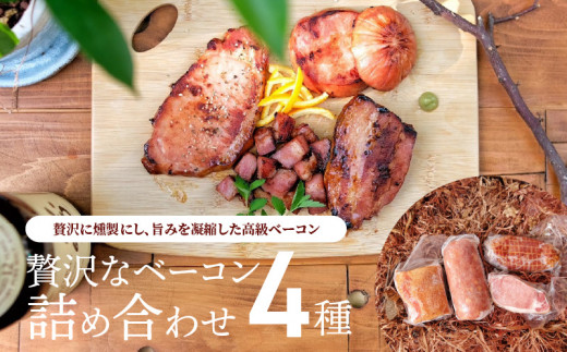 S141-008_贅沢なベーコン4種詰め合わせ【E29】熊本県天草市60000肉加工肉(ハム・ソーセージ等)