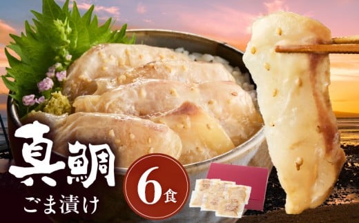 S010-080_真鯛ごま漬け6食セット熊本県天草市10000魚介・海産物鮮魚
