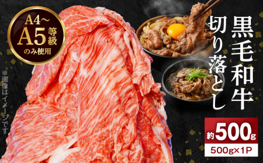 S001-033_A4`A5 јa ؂藎Ƃ 500gi1PjF{Vs10000