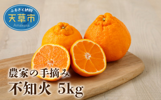 S040-011_【順次発送】農家の手摘み不知火 約5kg 家庭用〈先行受付〉熊本県天草市13000果物・フルーツみかん・柑橘類