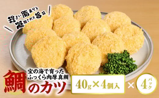 S106-028_鯛のかつ/4パック熊本県天草市10000魚介・海産物鮮魚