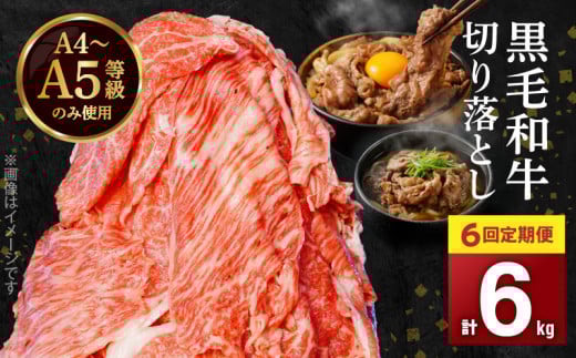 S001-001-T06_11_y6zA4`A5 јa؂藎Ƃ1kgi500g×2Pj6A͂y2025N11JnzF{Vs78000