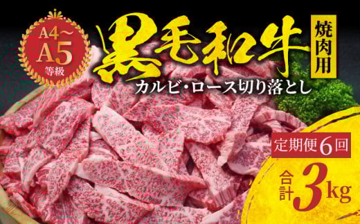 S001-026-T06_11_y6zјa ē Jr [X ؂藎Ƃ 500g A4`A5 6A͂y2025N11JnzF{Vs78000