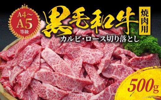 S001-026_y3zјa ē Jr [X ؂藎Ƃ 500g A4 ` A5F{Vs14000