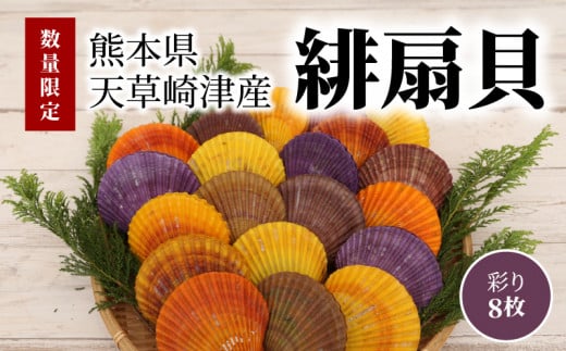 S021-005_熊本県天草崎津産 緋扇貝(ひおうぎがい)彩り 8枚【先行受付】熊本県天草市10000魚介・海産物貝類