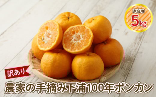 S040-029_y󂠂z_Ƃ̎E݁@Y100N|J@ƒp@5kgF{Vs10000ʕEt[c݂Ek