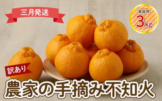 S040-030_【訳あり】≪3月発送≫農家の手摘み 不知火 家庭用 3kg熊本県天草市10000果物・フルーツみかん・柑橘類