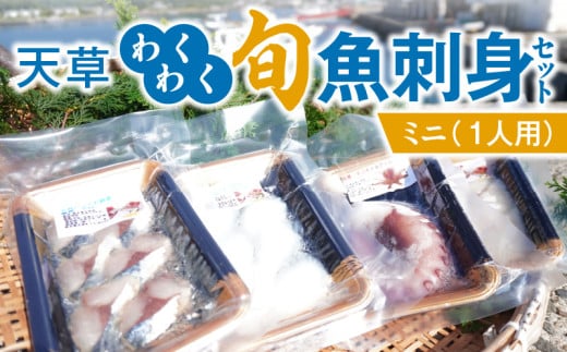 S059-021_天草わくわく旬魚刺身セットミニ(1人用)熊本県天草市10000魚介・海産物鮮魚