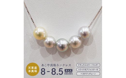 S085-401_あこや真珠 ナチュラルカラー 8mm - 8.5mm 5粒 スルーネックレス ネックレス マルチカラー SV925 シルバー925 真珠【B:ベネチアンチェーン】熊本県天草市120000衣類・装飾品・工芸品アクセ
