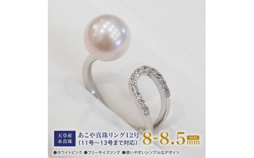 S101-386_^ zCgsN 8mm - 8.5mm 1 t[TCY O SV Vo[ ^ WRjAyBF12(11`13܂őΉ)zF{Vs67000ߗށEiEH|iANZT[