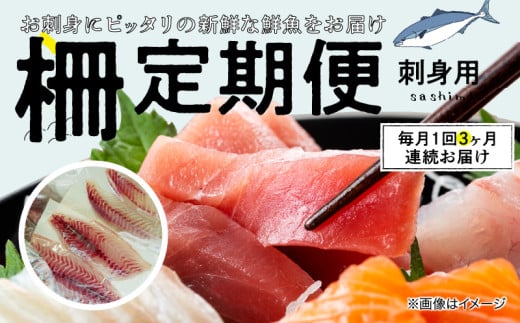 S121-T03_【全3回 連続】お刺身用柵定期便熊本県天草市38000魚介・海産物鮮魚