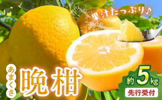 S149-003_あまくさ晩柑 約5kg【先行受付】熊本県天草市11000果物・フルーツみかん・柑橘類