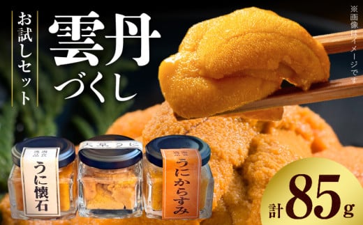 S002-025_雲丹づくしセット【お試しセット】熊本県天草市16000魚介・海産物イカ・タコ・ウニ