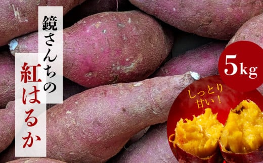 S050-010_񂿂̍g͂邩 5kgF{Vs16000؁ÊႪEC
