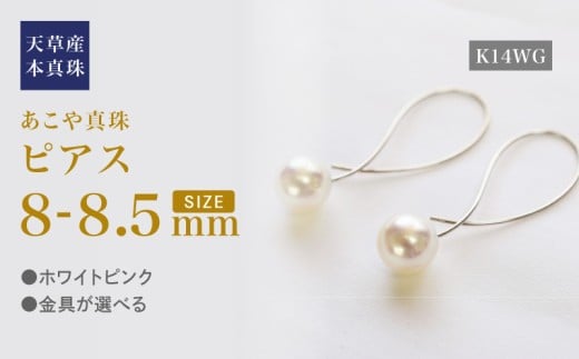 S101-434_^ sAX tbN NX 8mm - 8.5mm zCgsN K14WGF{Vs160000ߗށEiEH|iANZT[