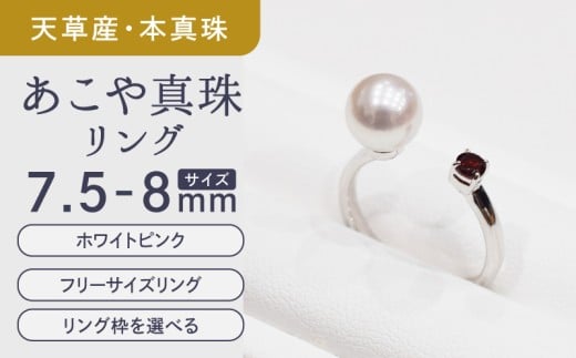 S085-456_あこや真珠 リング 7.5mm - 8mm ホワイトピンク ガーネット 真珠 (C:10号)熊本県天草市60000衣類・装飾品・工芸品アクセサリー