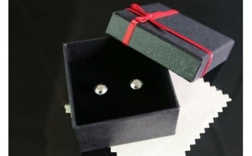 56-1_犬山ブランド ダイヤモンドピアス(ステンレス製)| ステンレス 金属加工 ピアス アクセサリー プレゼント おしゃれ 身だしなみ エイト工業愛知県犬山市56000衣類・装飾品・工芸品ア