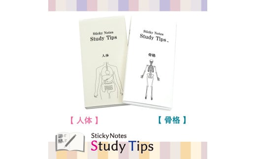 9-5_人体付箋 【Sticky Notes Study Tips】 (スタディチップス) 2種セット 人体・骨格|付箋 人体 骨格 医師 医者 医学 からだ ほね 学習 付せん 勉強 セット 文具 メモ プレゼント 便利 書き込み 役立