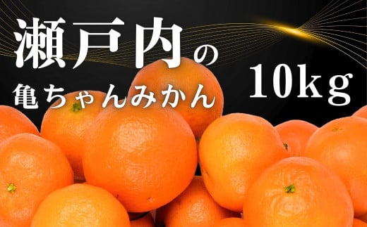 [11`2] ˓̋T ݂  10kg Y ˓ L 㓇  x Z k Ղ  Yn Tc_L㓇22000ʕEt[c݂Ek