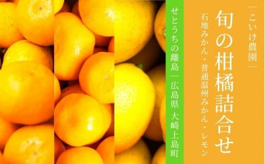 石地みかん 普通温州みかん レモン 詰め合わせ 約4kg 12月頃発送予定 こいけ農園 広島県 大崎上島町 瀬戸内 離島 濃厚 果物 フルーツ 柑橘 みかん レモン 檸檬  産地直送広島県大崎上島町16000