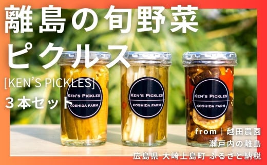 ̏{؃sNXqKen's Picklesr3{Zbg [㓇Y؎gp]L㓇16000؁Ê̑ 