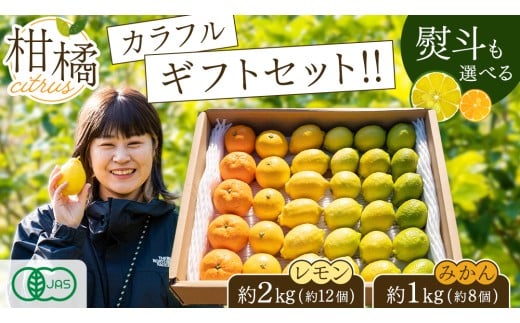 島の宝石箱!瀬戸内 旬の柑橘カラフルギフトセット ( レモン 約2kg /みかん 約1kg ) 11月〜12月発送 果物 国産 せとうち 広島 大崎上島 産地直送 ふじやファーム広島県大崎上島町17000果物・フル